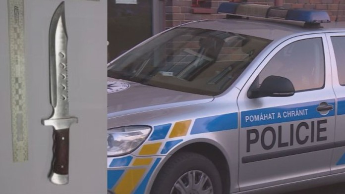 Raplovi vadilo, že psi nemají vodítko, majitelku proto bodnul