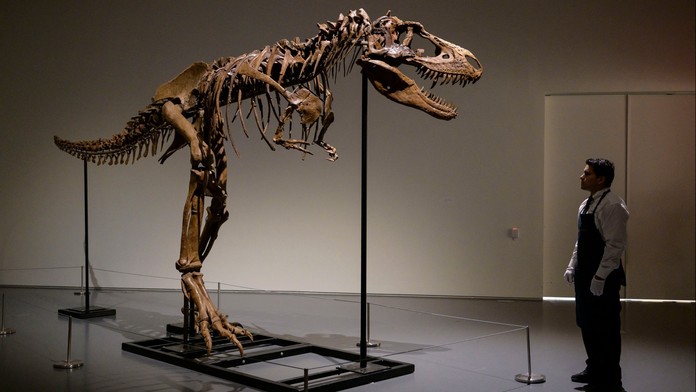 Unikátní kostra dinosaura je na prodej za miliony dolarů