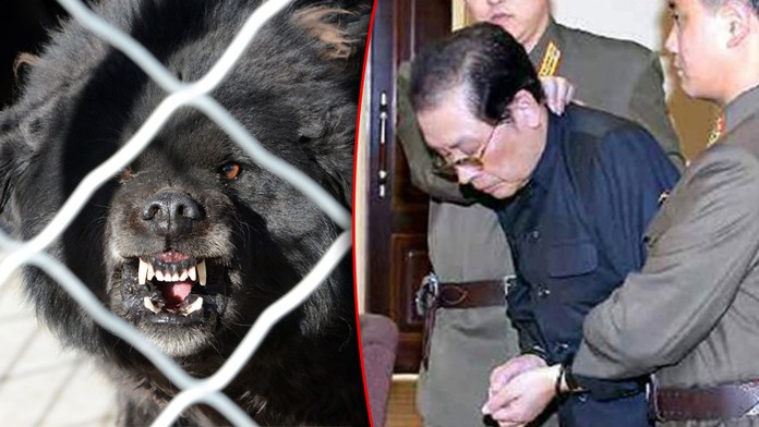 HOROROVÁ POPRAVA: Kim předhodil nahého strýčka hladovým psům!