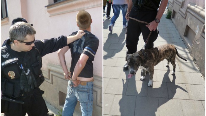 Bezdomovci v Přerově chtěli SNÍST PSA! Strážníci jim v tom na poslední chvíli zabránili