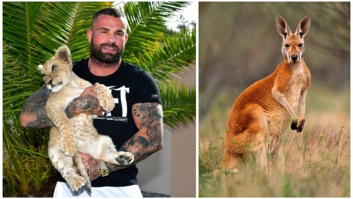 Lev a žraloci nejsou vše: Vémola už koupil další exotické zvíře
