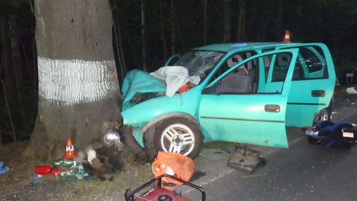 Řidička vezla čtyři děti. Vážně zranění skončili ve stromě