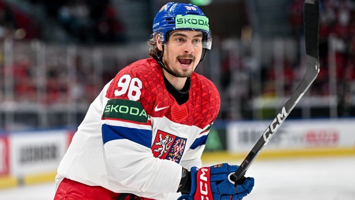 David Tomášek