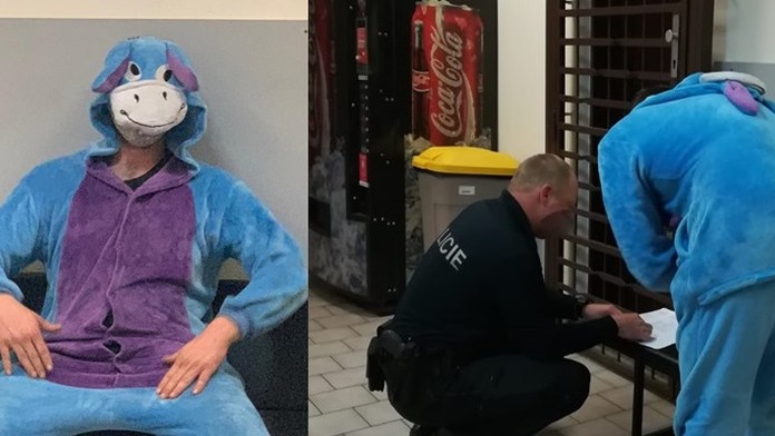 Muž řídil i přes zákaz. Policisté ho načapali v kostýmu oslíka Ijáčka!