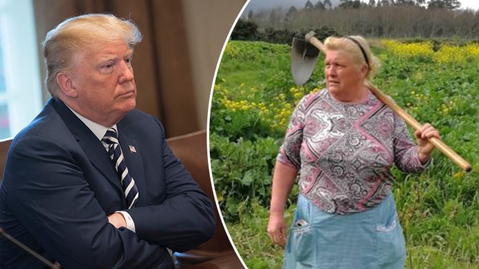 Donald v sukni a s motykou: Seňora Trump okopává brambory