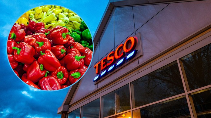 Tesco nechce české papriky, zlobí se zemědělci! Jsou shnilé, brání se řetězec