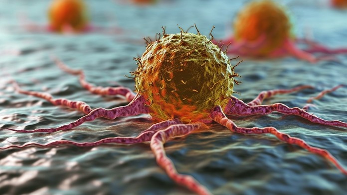 Čeští vědci objevili dosud neznámý virus. Je desetkrát větší, než je obvyklé