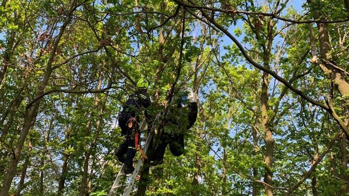 Paraglidista nevychytal přistání, zůstal viset šest metrů nad zemí!