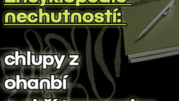 Encyklopedie nechutností: chlupy z ohanbí a obří tasemnice