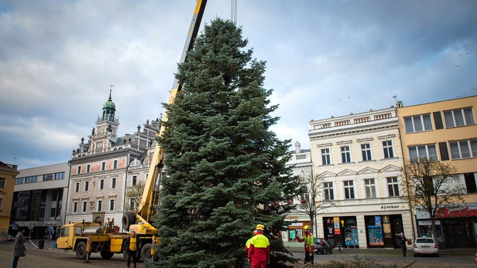 Česko se připravuje na Vánoce. Hlasujte o nejhezčí stromek. ANKETA