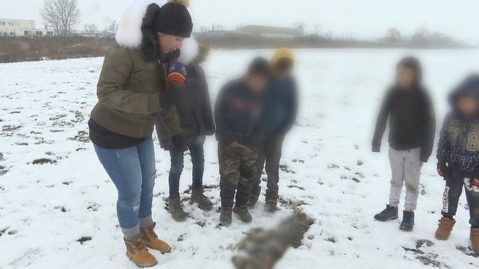 Krutá zábava dětí v Trebišově, utýraná zvířata se válí v okolí
