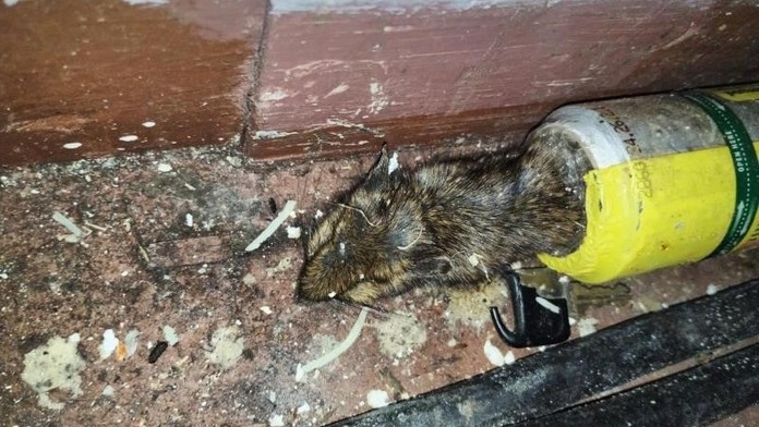 Známou restauraci v Krušných horách náhle zavřeli. Inspekce odhalila otřesné věci
