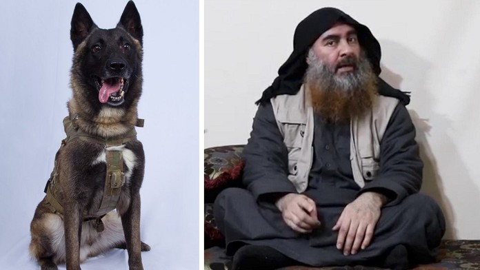 Trump vzdal hold psímu hrdinovi. Zranil se při dopadení vůdce ISIS