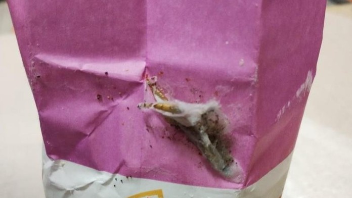 Kaufland nabízel mouku prolezlou škůdci. Možná ji máte doma i vy