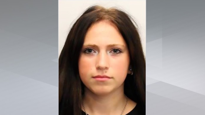 Policejní pátrání