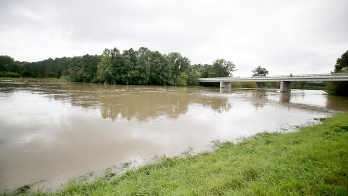 Na Moravě objevili vzácné zvíře. Má krásnou barvu, na rozdíl od příbuzných ale neškodí