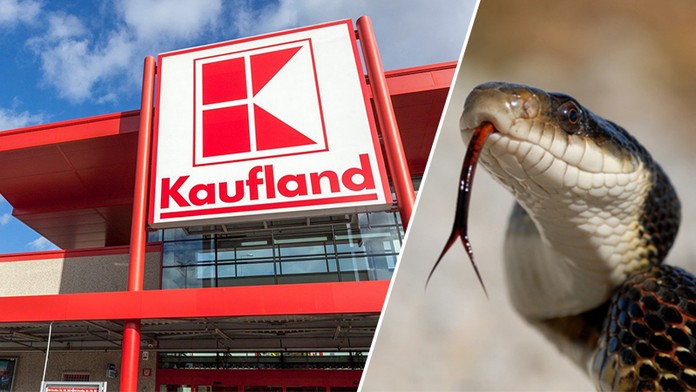 Další pátrání po hadovi! Kaufland musel uzavřít jednu pobočku