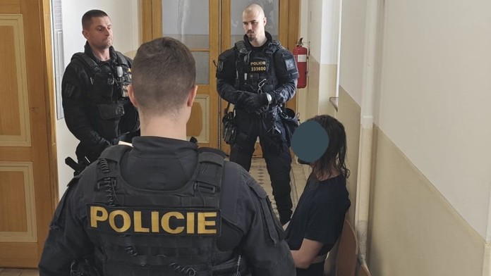 Podezřelý z vraždy u soudu