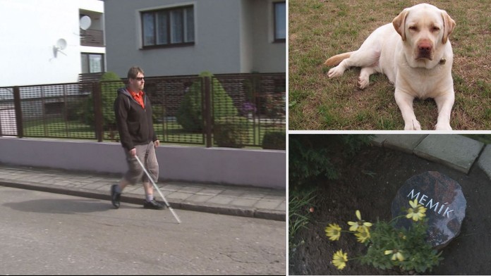 Úřady odmítly nevidomému přispět na nového psa! Prý na něj nemá nárok