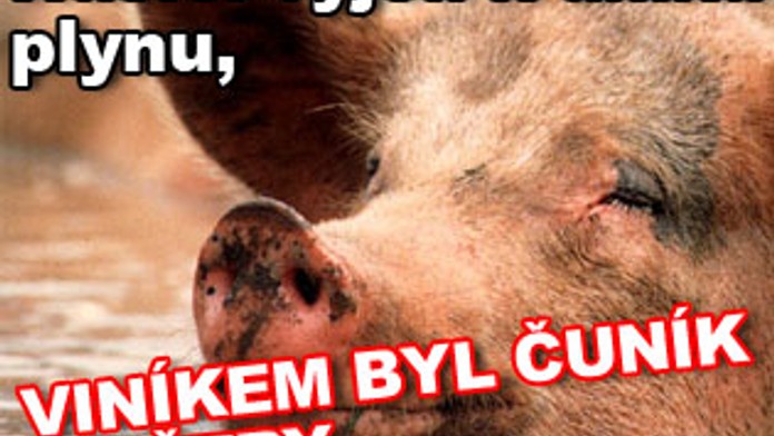 Hasiči vyjeli k úniku plynu, viníkem byl čuník s větry
