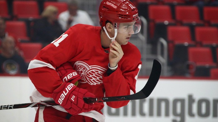 Zadina vystřelil Detroitu vítězství! Gólově se prosadil i Pastrňák