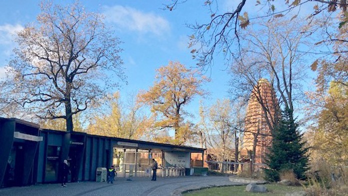 Oblíbená evropská zoo se na dlouho zavírá. Zabíjela tam ptačí chřipka