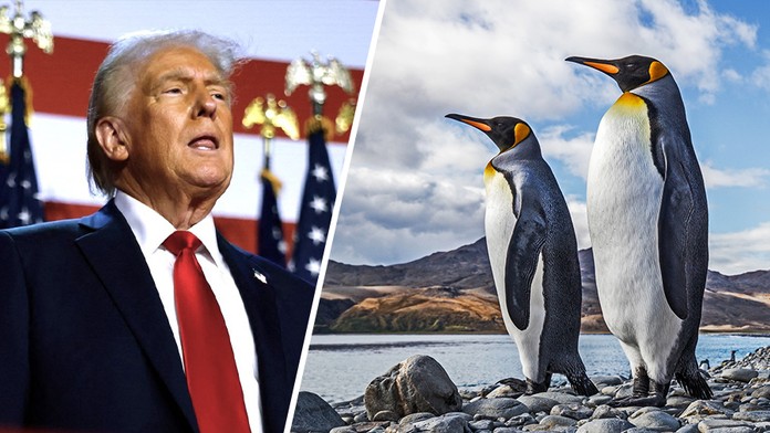 Donald Trump a tučňák patagonský