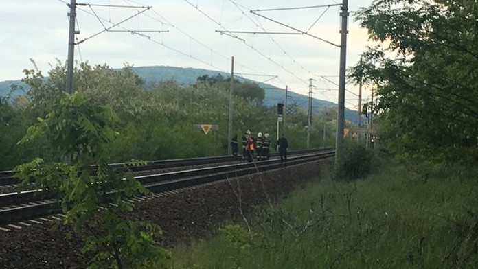 Maminku s dcerou smetl osobák. Holčička (5) neměla šanci přežít