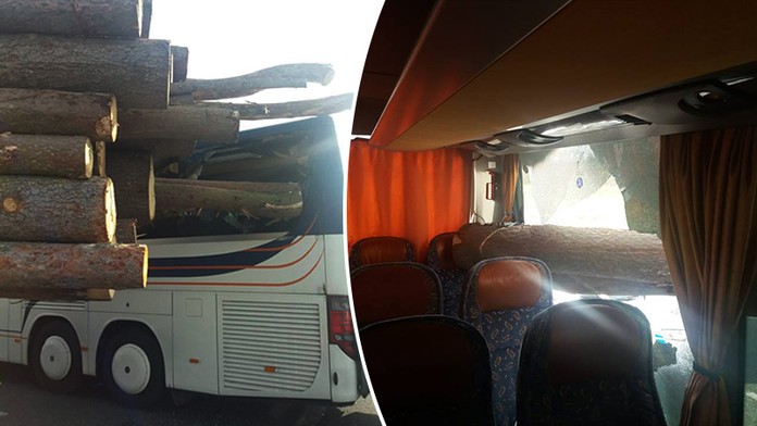 Kláda vlétla do autobusu plného dětí, zarazila se o sedadlo!