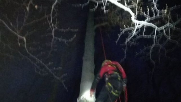 Paraglidista visel na stromě! Silný vítr mu zamotal padák