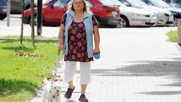 BESTIE utýrala své čtyřměsíční štěně! Zemřelo během převozu k veterináři!