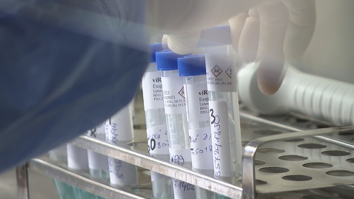 Průlom v boji s covidem-19! Vědci vyvinuli vakcínu proti mutaci z JAR