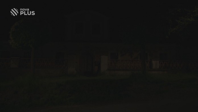 V lesích dozrávají OSTRUŽINY, zázrak na klouby, krásu i rakovinu