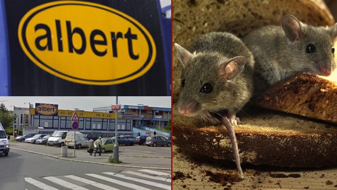 FOTO: MRTVÉ MYŠI v supermarketu ALBERT! Inspekce ho zavřela!