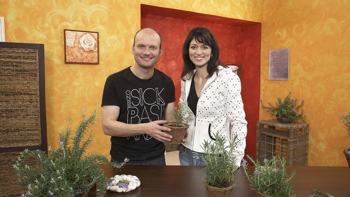 TĚŠTE SE! Rady ptáka Loskutáka mají novou dekoraci
