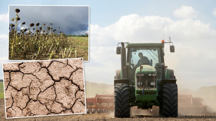 Sucho trápí většinu Evropy, zemědělcům teď pomůže EU