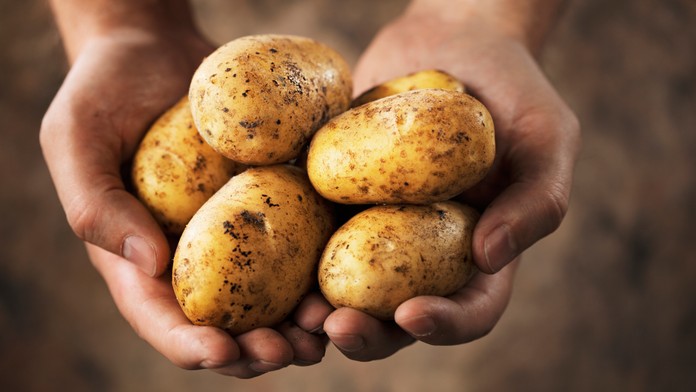 Přehledně: Jak správně vybrat a kupovat kvalitní brambory?