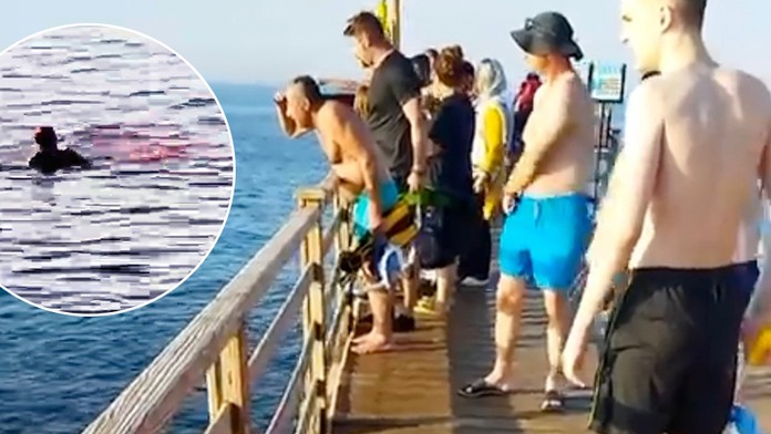 Děsivé detaily útoku žraloka: Plavčíci se jen smáli