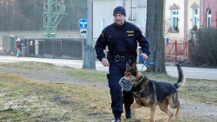 Mladík utekl do lesa, chtěl se zabít! Našli ho živého