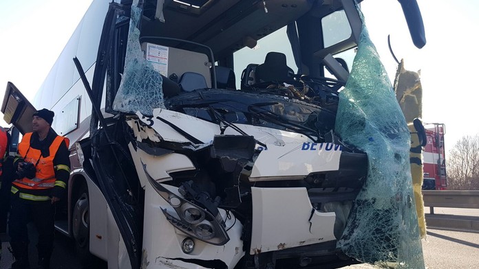 Jelen skončil po srážce uvnitř autobusu. Zranil turisty a utekl