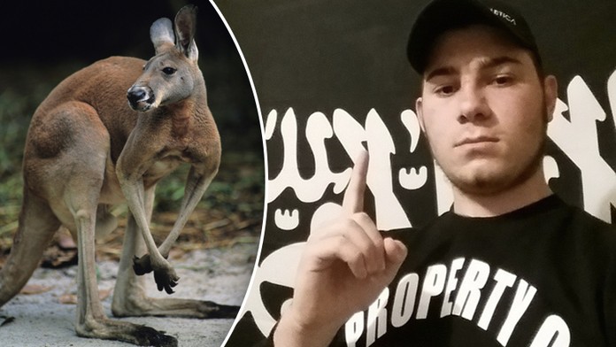 Nová zbraň džihádistů? V Austrálii chtěli využít k útoku klokana!