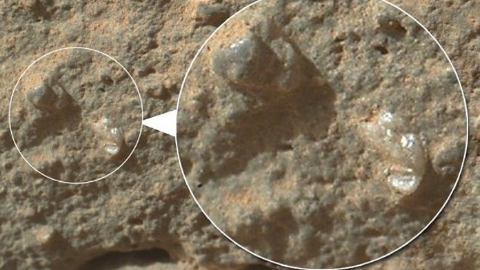 Rostou na Marsu květiny? NASA zachytila neuvěřitelné snímky