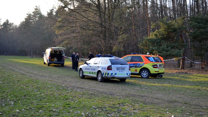 Lesní dělník našel ukryté auto s mrtvolou