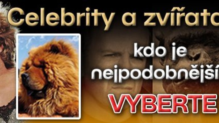 Celebrity a zvířata – kdo je nejpodobnější? VYBERTE