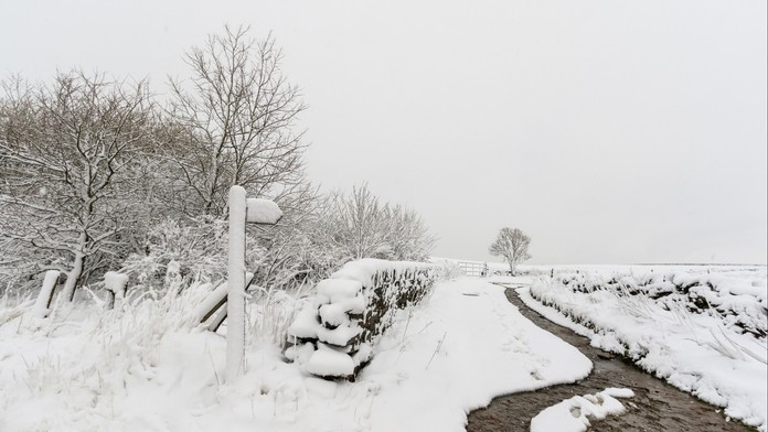 Až 10 cm za hodinu. Meteorologické modely předpovídají obří sněhovou bouři