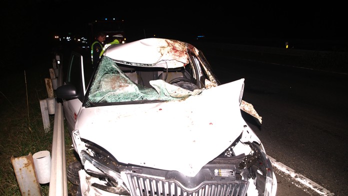 Auto zabilo na rychlostní silnici u Kladna koně, posádka zraněna