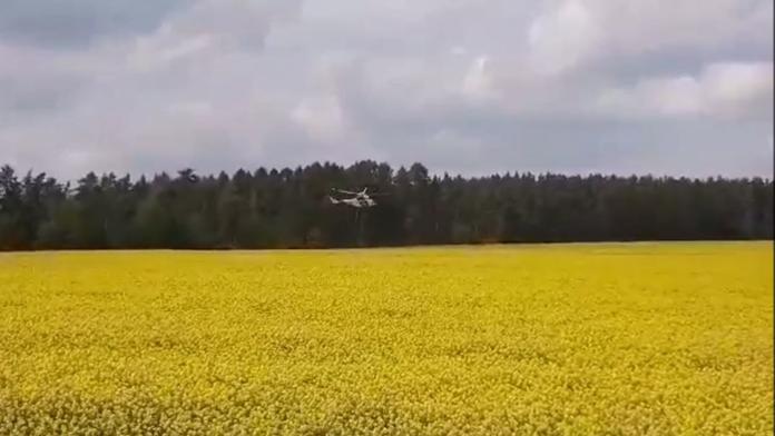 Zraněná žena se ztratila v řepce, pole pročesával i vrtulník