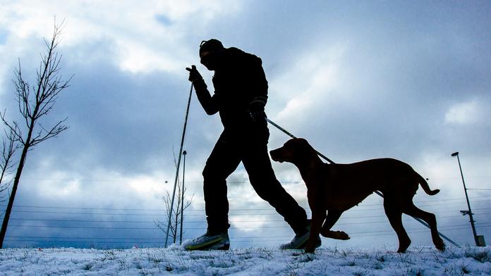 Zpřísnili výstrahu před sněhem a silným větrem! Napadne až 25 cm