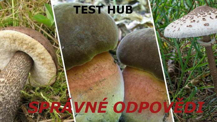 TEST hub - 1. kolo: Správné odpovědi