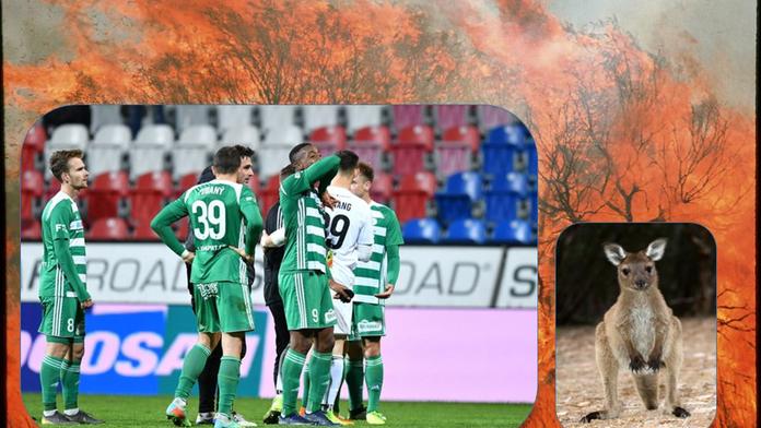 Klokani z Ďolíčku pomáhají klokanům v Austrálii, pořádají sbírku
